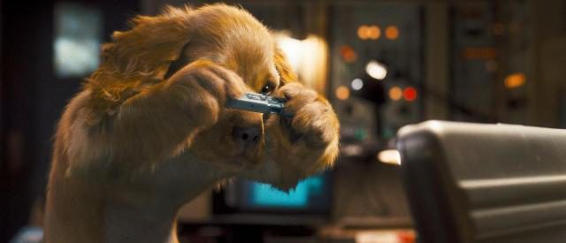 Tráiler de 'Cats & Dogs: the Revenge of Kitty Galore'