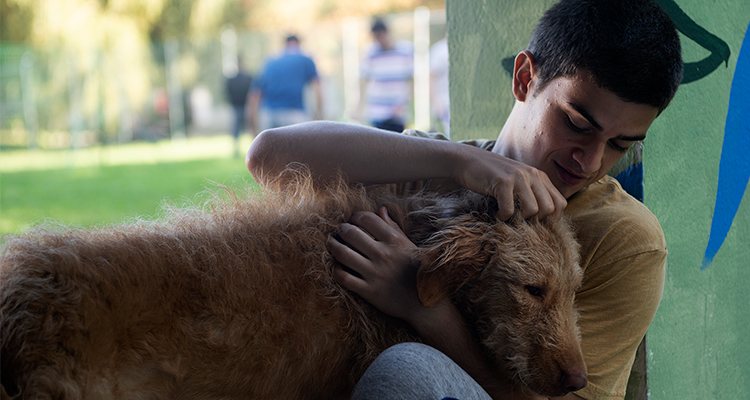 'Diecisiete' fotograma, Héctor y Oveja