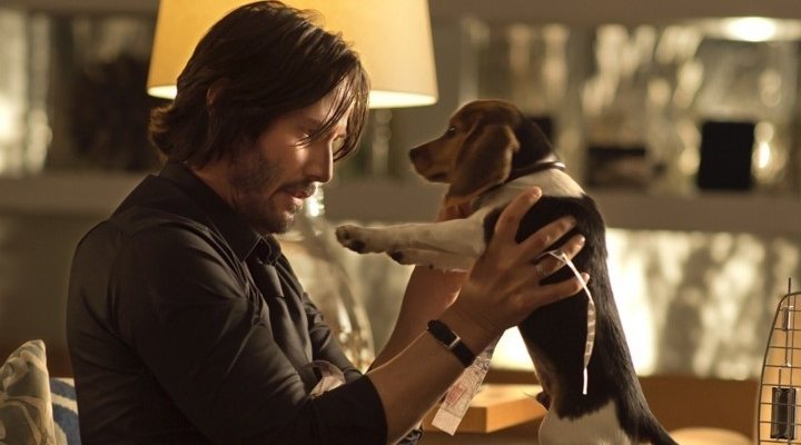  'John Wick'