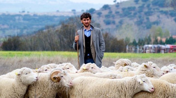  'Las ovejas no pierden el tren'