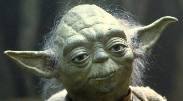 'Yoda'