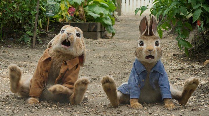 Peter Rabbit