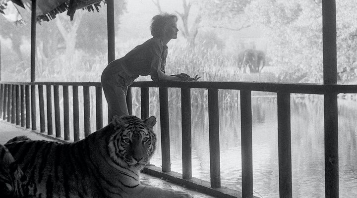 Tippi Hedren y su león