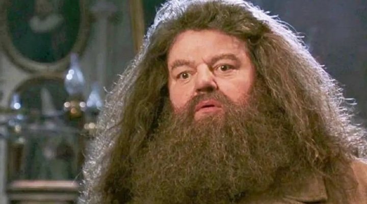 Hagrid, personaje de 'Harry Potter'