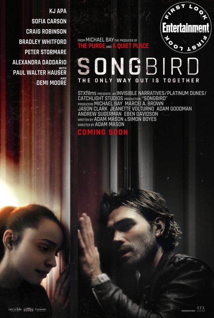 'Songbird'