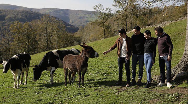 El equipo de 'Dos vacas y una burra'