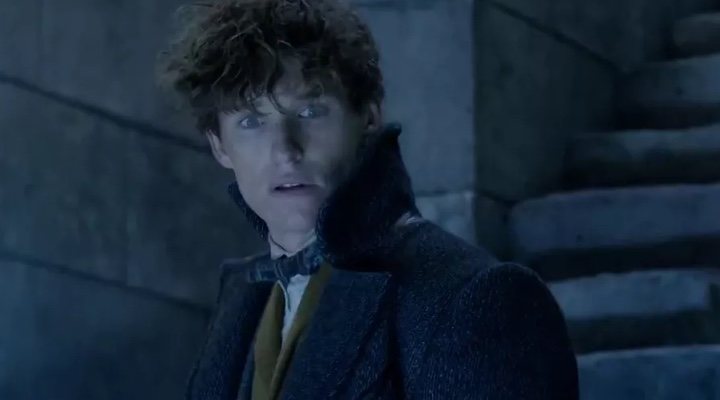 Eddie Redmayne en 'Animales Fantásticos: Los crímenes de Grindelwald'