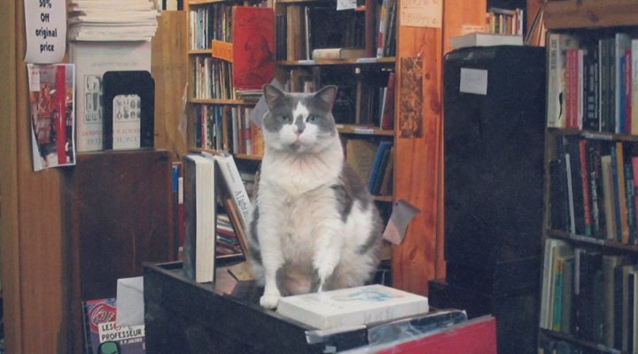 Libreros de Nueva York