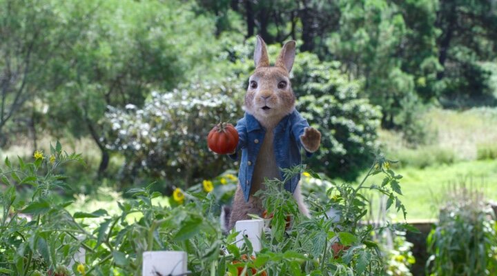 'Peter Rabbit'