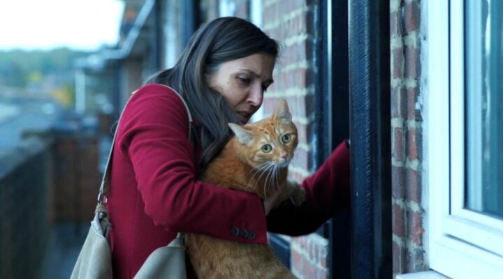 Pequeños milagros en Peckham St.