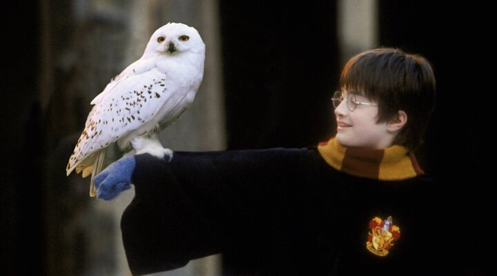  Daniel Radcliffe en 'Harry Potter y la piedra filosofal'