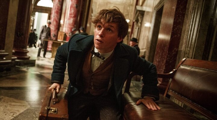 Newt Scamander en 'Animales Fantásticos'