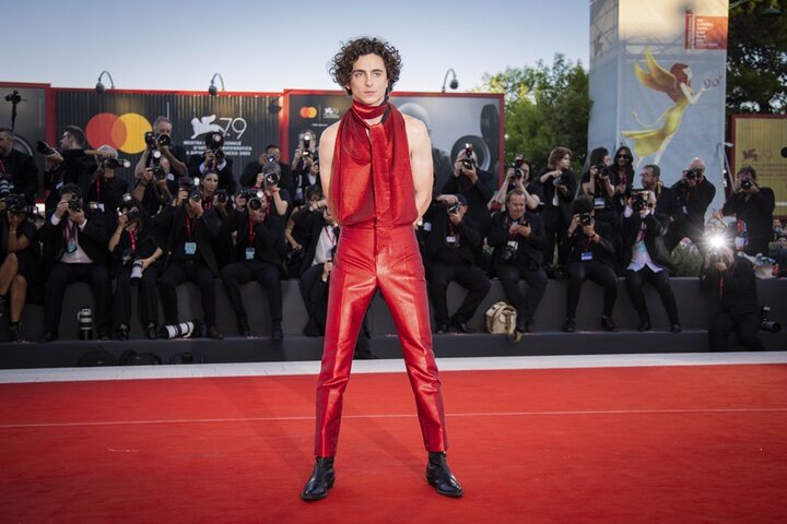 Timothée Chalamet en el Festival de Venecia 2022