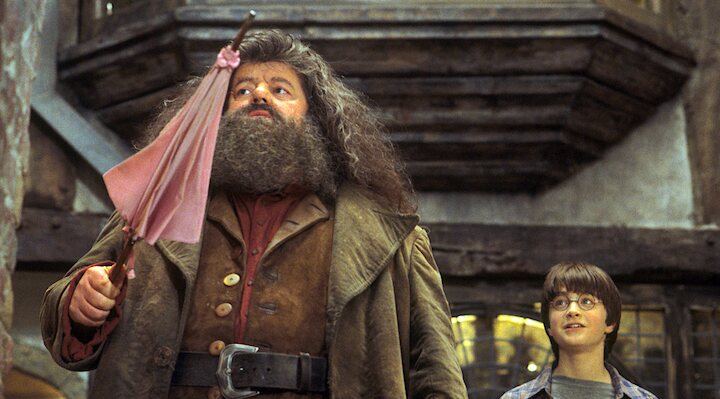 Robbie Coltrane como Hagrid