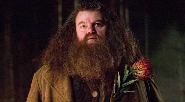 Hagrid