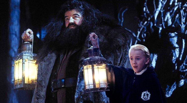 Hagrid y Draco Malfoy