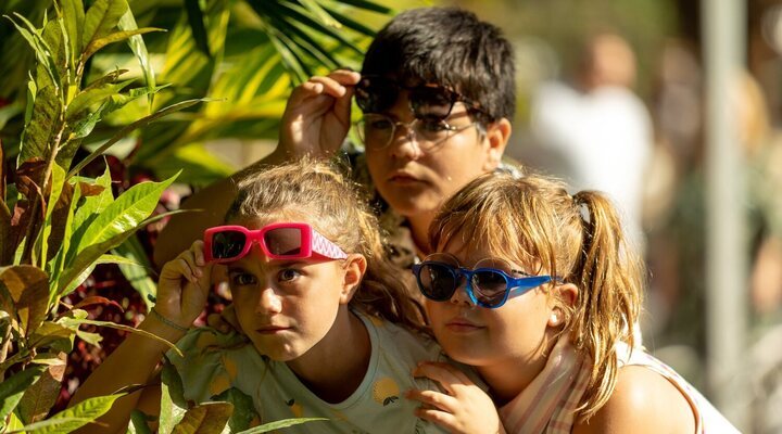 'Vacaciones de verano'