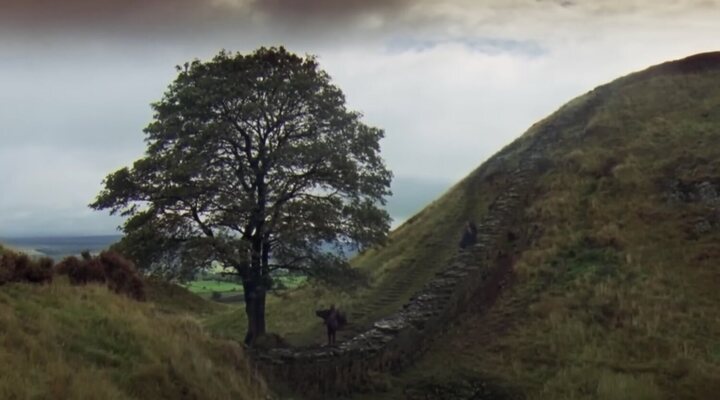 El Sycamore Gap Tree en 'Robin Hood, príncipe de los ladrones'