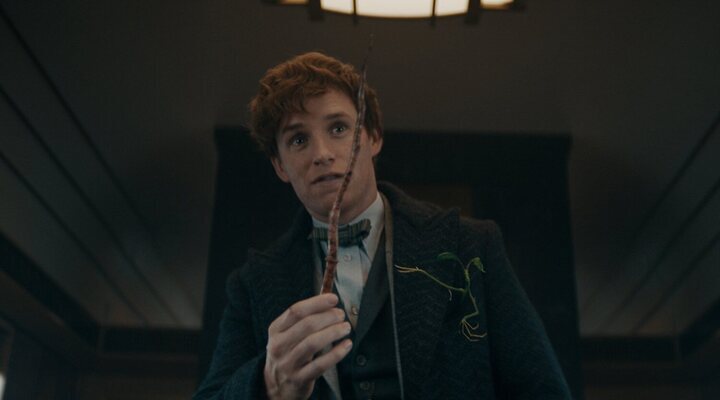  Eddie Redmayne en la saga de 'Animales fantásticos'