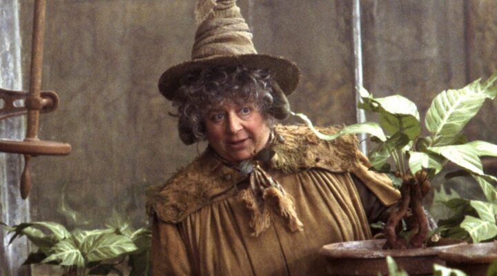 Miriam Margolyes como Sprout