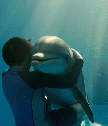 Dolphin Tale