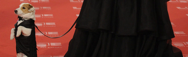 Pancho en la alfombra roja de los Goya 2011