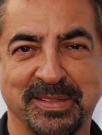  Joe Mantegna