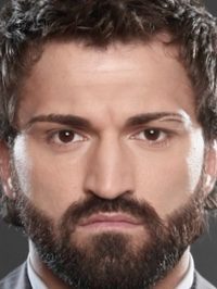  Andrei Arlovski