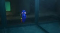 Tráiler latino 'Buscando a Dory' #3