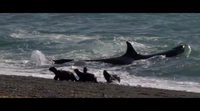 Making of: 'El faro de las orcas'