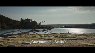 Tráiler subtitulado español 'La espera'