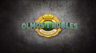 Promo 'Olmos y Robles' segunda temporada