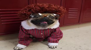 'Stranger Things' versión Stranger Pugs