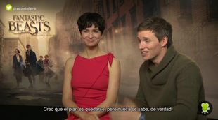 Eddie Redmayne ('Animales fantásticos y dónde encontrarlos'): "Será muy emocionante encontrarnos con personajes de 'Harry Potter"