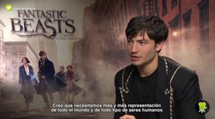 'Animales fantásticos': Ezra Miller opina sobre la representación LGTBI en la saga