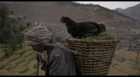 Tráiler subtitulado en inglés 'The Black Hen (Kalo Pothi)'