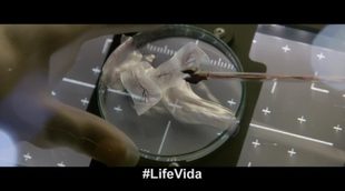 Clip Español 'Life (Vida)': "Todo músculo, todo cerebro"