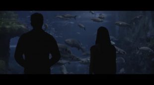 Clip #1 'Órbita 9': "El acuario"