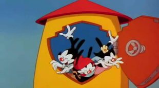 Intro en español de 'Animaniacs'