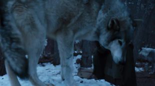 'Juego de Tronos' (7x2): Arya y Nymeria