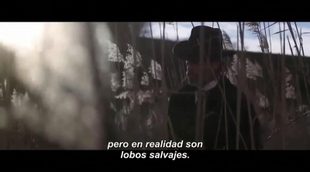 Tráiler subtitulado 'Brimstone'