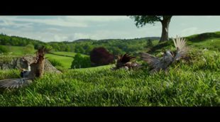 Tráiler español 'Peter Rabbit'