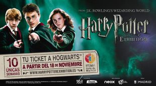 Spot 'Harry Potter: The Exhibition'