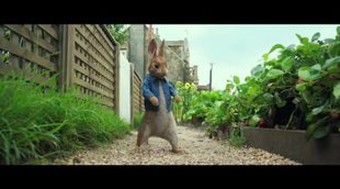 Tráiler 2 'Peter Rabbit'