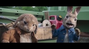 Clip 'Peter Rabbit': 'Peter siempre está perfecto'