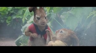 Clip 'Peter Rabbit': 'Entrenamiento duro'