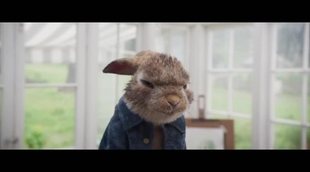 Clip 'Peter Rabbit': 'Peter y McGregor'