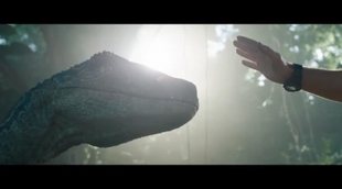 Tráiler español 'Jurassic World: El Reino Caído' #2