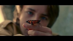 Tráiler 'The Butterfly Tree'