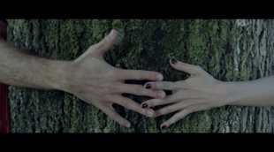 Teaser 'El árbol de la sangre'